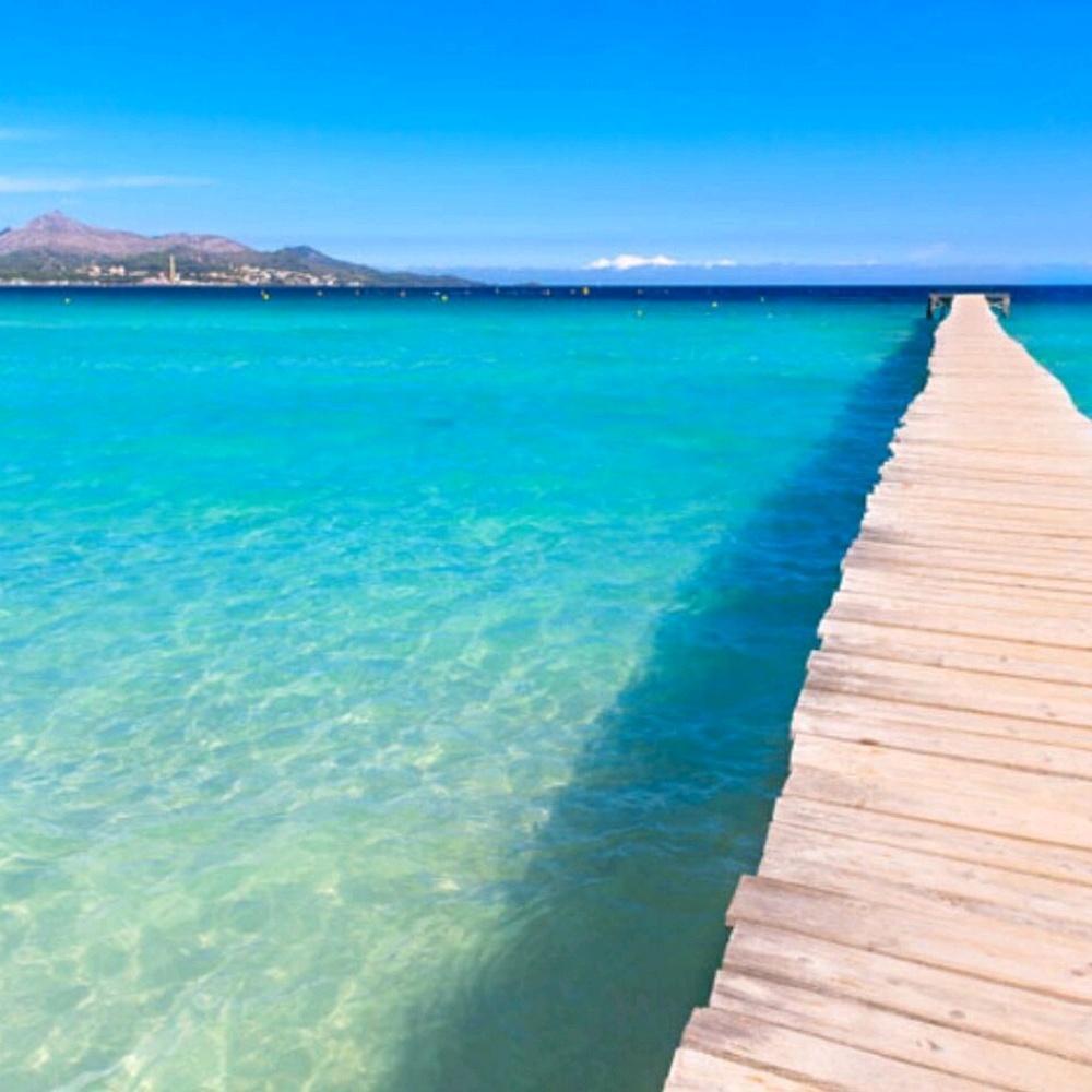 Meet your Posher, Houaida